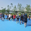 영롱이인라인 이미지