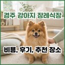 경줄축산 | 경주 강아지 장례식장 다 불법이라고? 경주 애견 장례 주의사항부터 비용, 후기, 추천 장소 정리.