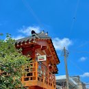 수원-0351 이미지