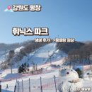 몽블랑파크 | 평창 휘닉스 파크 스키하우스 생생한 방문 후기(+몽블랑 정상)
