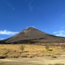 매화목장 | [일본/후쿠오카] 근교 소도시 버스투어 3️⃣ : 유후다케,벳푸 일정 라쿠투어 후기