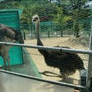 동화힐링캠프 이미지