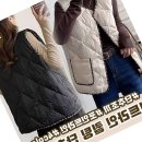 포인트라인