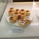 알로하올라 이미지