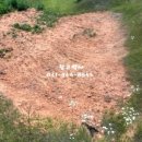 창고박사부동산중개 이미지