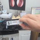 효자이비인후과의원 | 효자동 이비인후과 a형독감 유행 딸램 열 40도 수액 치료