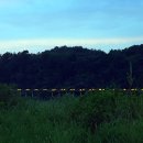 와룡지구 이미지