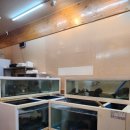구백회수산