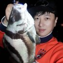 숲속애바다실내낚시터 이미지