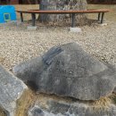 호저초등학교 이미지