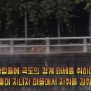 황구건강원 이미지