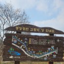 광주천변 자전거 도로 | 광주 광산구 풍영정천 자전거 산책길, 봄이 찾아온 천변 풍경