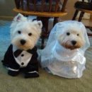 종로-신영-종로-영-198 | 250628 / 합정 버튼업 , 말차 격불 🍵， 관악구청 혼인신고