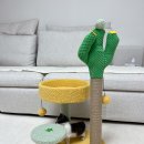 꽁냥꽁냥캣 이미지