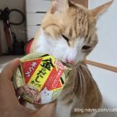 금빛참치 - 천안시 동남구 청수9로 15 | 금빛참치