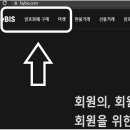 바이비스
