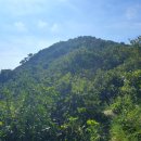 대신한증막 이미지