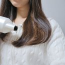 본헤어랜드 이미지