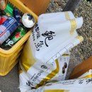 완도읍-2 이미지