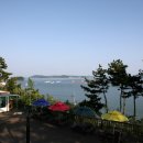 두바다찬솔 이미지