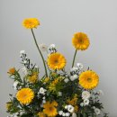 수원 구르구르 스튜디오 시오플라워 돌 촬영 솔직후기