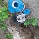 고란농장 이미지