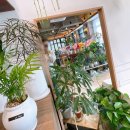 우리꽃집&카페 | 충남 계룡시 꽃집&amp;카페 라플레르 후기