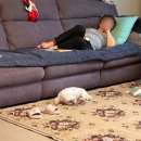 하노이맥주밤거리 안산일동점 | 5월은 푸르고 자라난 나는 일꾼이 되(돼)