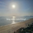 호텔 파레브 | 대천 파레브호텔 오션뷰 후기💙 8층 바다뷰 노을맛집 숙소 보령 대천해수욕장 숙소 추천✨ 파레브호텔...