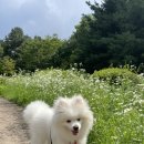 벨라미용실 - 고양시 일산동구 | 벨라미용실