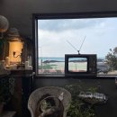 한라산(주택동) | [제주도] 제주 동쪽 세화 해변 '카페 한라산' 내돈내산 후기_23.03.01