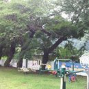 번암초등학교 이미지