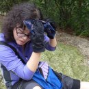 심원사 입구 이미지