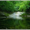 푸른계곡 이미지