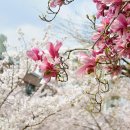 새마을공원길R 이미지