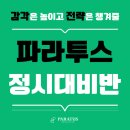 파라투스영어수학학원