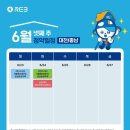 에디크대전
