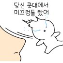성식농장 네이버블로그