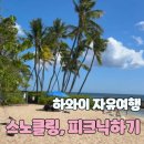 그늘막89 | [미국_하와이] 제니인생샷스팟 머메이드케이브, 스노클링 파라다이스코브, 하와이딤섬,샌드위치 후기