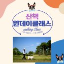 우리펫 이미지