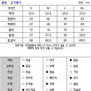 미즈미 이미지