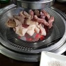 돌고돈 - 중구 주교동 | 돌고돈