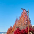 이마트24 대전한남대점 | [대전 맛집 몽심 한남대점] 22년 24년 대전 빵어워즈 1등 디저트 맛집 (대전 빵축제 휘낭시에) 내돈내산