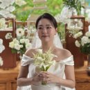 W, 아이폰스냅. 니어무드 본식후기 (가회동성당)