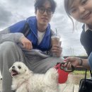 자담치킨 사동점 | 넌 아직도 그 일을 하고 있니