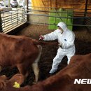 사산축산 이미지