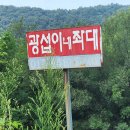 애견동반 좌대여행🎣[초평지 광섭이네 좌대 배스낚시, 헝그리 치킨피자🐔]