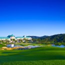 마에스트로 CC 이미지