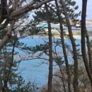 송림길 | 울산 대왕암공원 | 출렁다리 산책후기 울산 가볼만한곳 추천