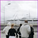 시라솔루션 이미지